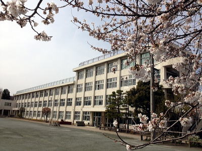 小学校　羽村市立羽村東小学校（小学校）まで513m