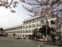 小学校　羽村市立羽村東小学校（小学校）まで513m