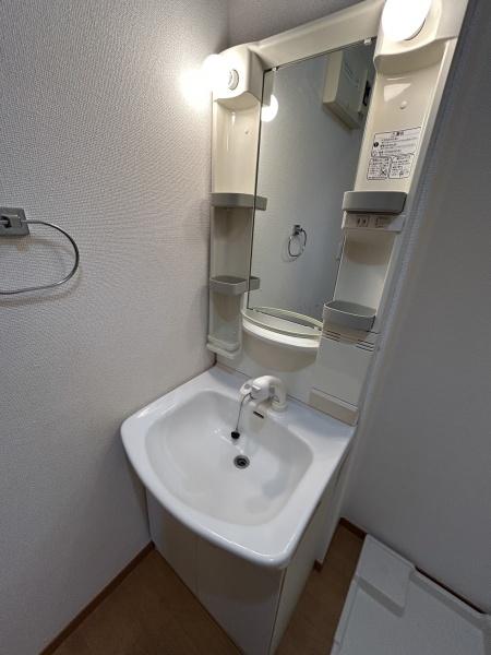 洗面設備　便利なシャンプードレッサー付き