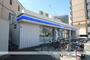 コンビニ　ローソン（コンビニ）まで725m