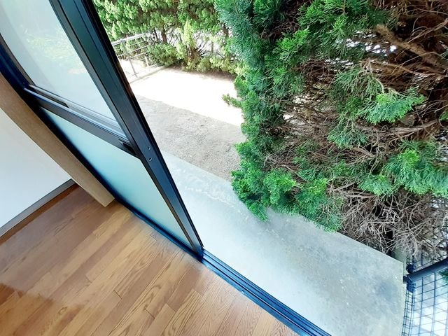 庭　お庭です