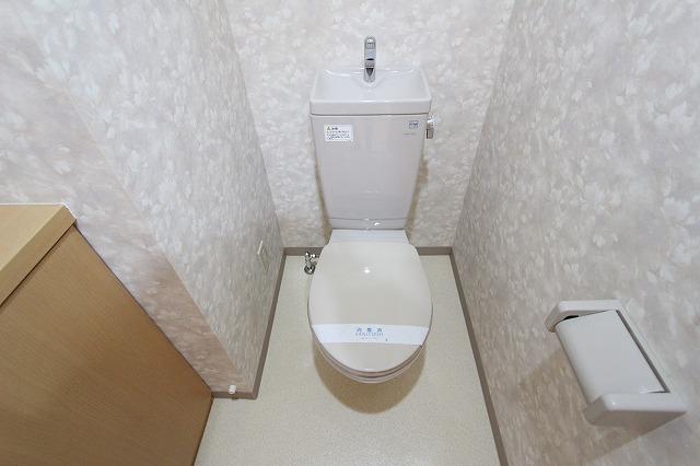 ステラ石井IIのトイレ写真