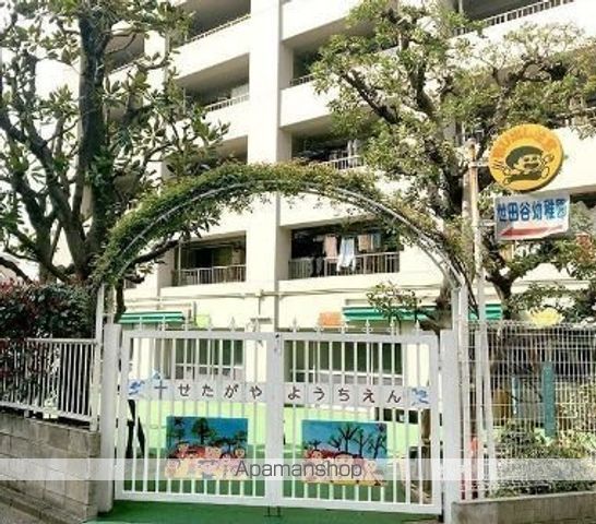 幼稚園・保育園　世田谷幼稚園（幼稚園・保育園）まで347m