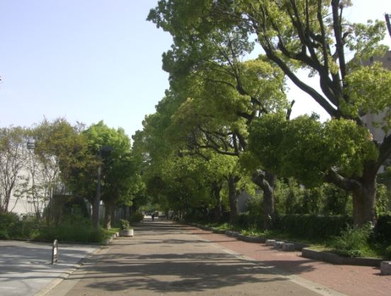 公園　真田山公園（公園）まで328m