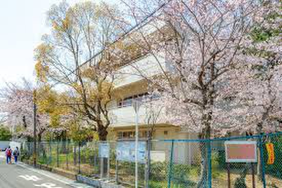 中学校　第一中学校（中学校）まで881m