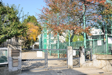 中学校　渋谷区立鉢山中学校（中学校）まで522m