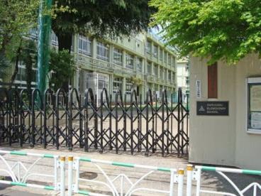 小学校　渋谷区立猿楽小学校（小学校）まで165m