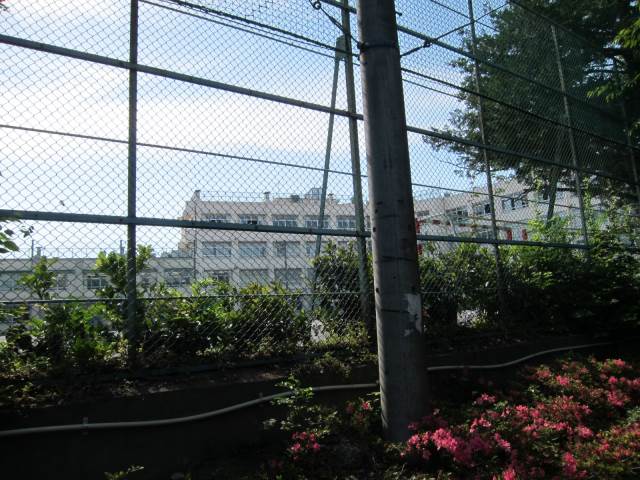 中学校　上板橋第二中学校（中学校）まで277m