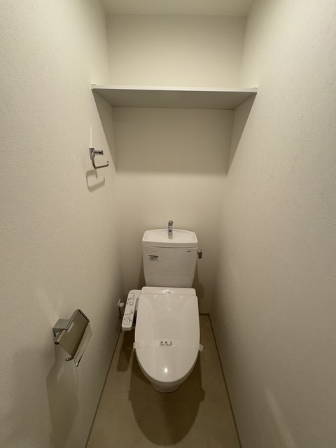 多摩都市モノレール 大塚・帝京大学駅 徒歩8分 2階建 築4年のトイレ写真