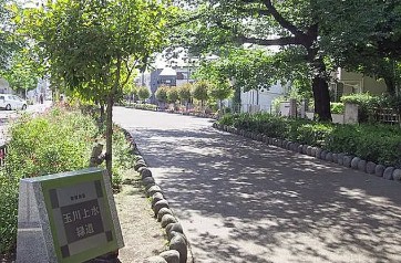公園　玉川上水緑道（公園）まで4634m