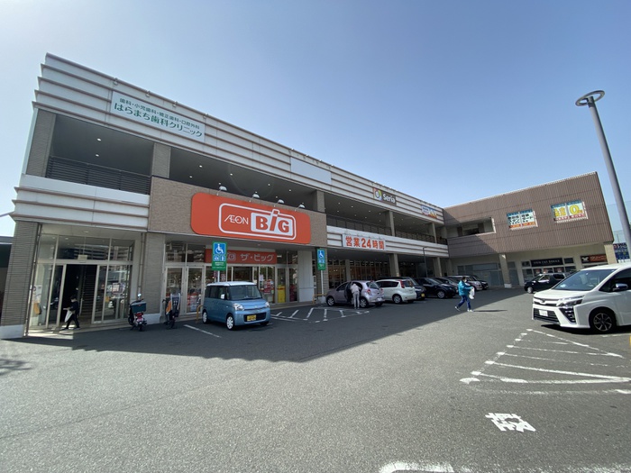 スーパー　ザ・ビック小倉原町店（スーパー）まで550m