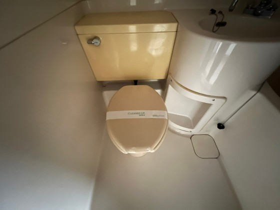 トイレ　※別号室の写真です