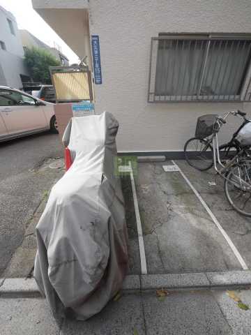 その他　カーサケンモク