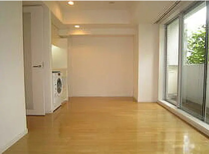 四谷デュープレックスDR YOTSUYA DUPLEX D-Rの居間写真