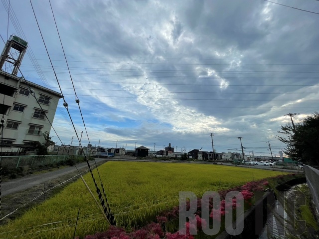 EastRoad手柄のその他写真