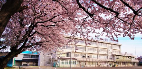 中学校　調布市立第八中学校（中学校）まで1087m