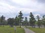 公園　蒔田公園（公園）まで826m