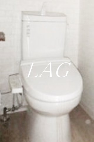 トイレ　トイレです。（同仕様です。）
