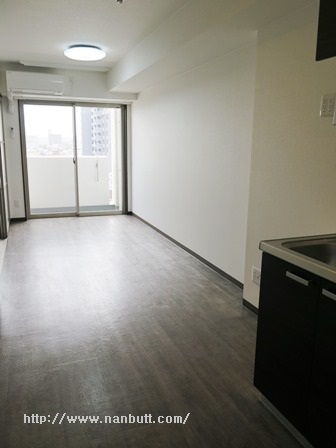 居室・リビング　ＬＤＫ9.3帖