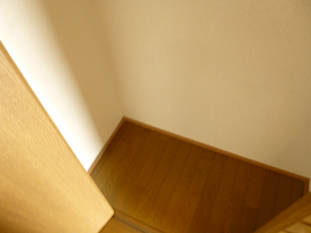 収納　＊他室の写真です。
