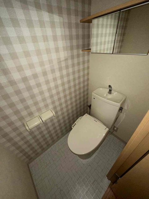 ＪＲ加古川線 滝野駅 徒歩34分 2階建 築19年のトイレ写真