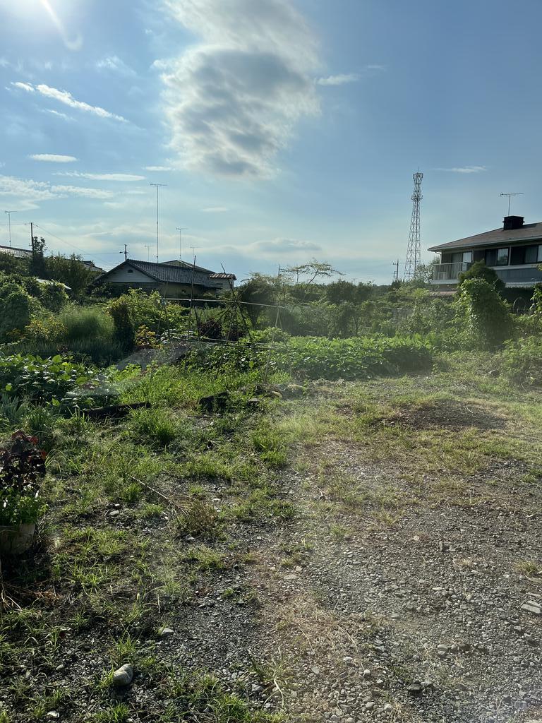 眺望　のどかな住宅街です。