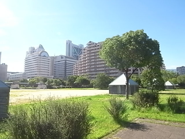 【ウエストコート１１番街の公園】