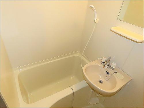 バス・シャワールーム　洗面台とユニット式のお風呂です