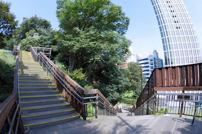 その他　緑豊かなお向かいの公園（港区立亀塚公園）