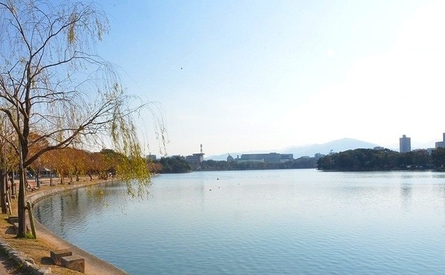 その他　大濠公園（その他）まで607m