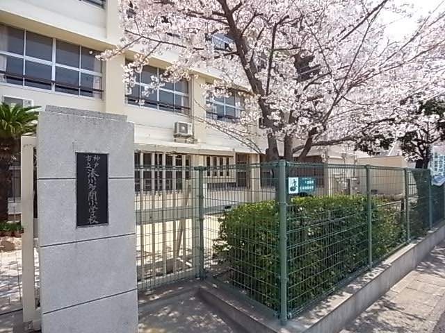 小学校　湊川多聞小学校（小学校）まで245m