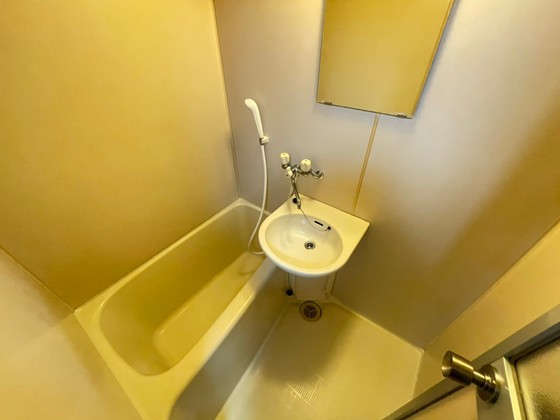 バス・シャワールーム　※他部屋の写真です。