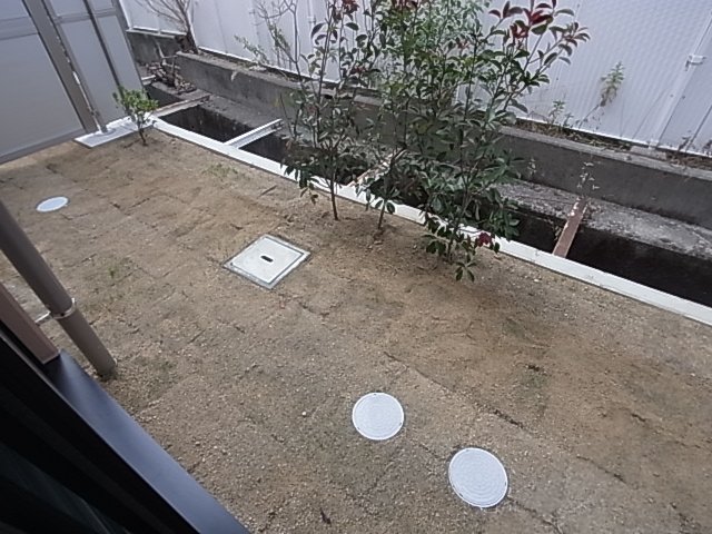 庭