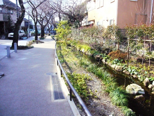 公園　北沢川緑道（公園）まで1033m