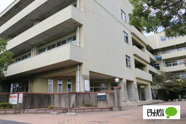 中学校　松江市立第三中学校（中学校）まで789m