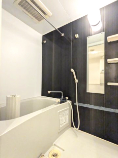 バス・シャワールーム　コンパクトで使いやすいお風呂です