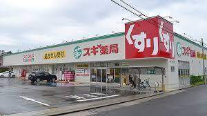 ドラックストア　スギ薬局守山東店（ドラッグストア）まで718m