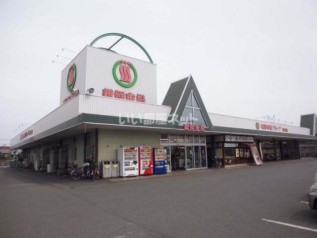 スーパー　新鮮市場（スーパー）まで1200m