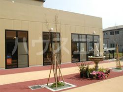 幼稚園・保育園　青空保育園（幼稚園・保育園）まで1081m