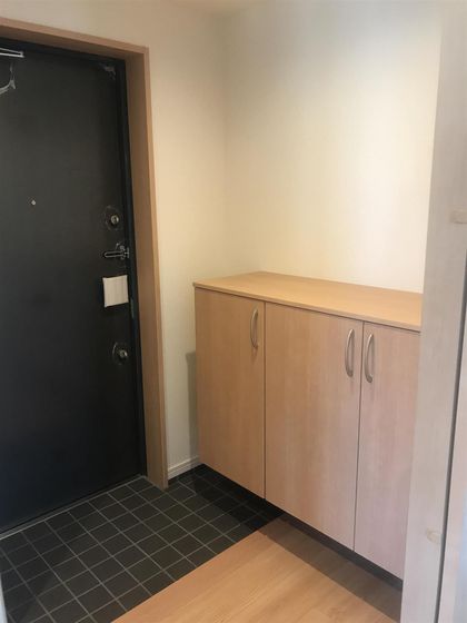 玄関　※他号室の写真です