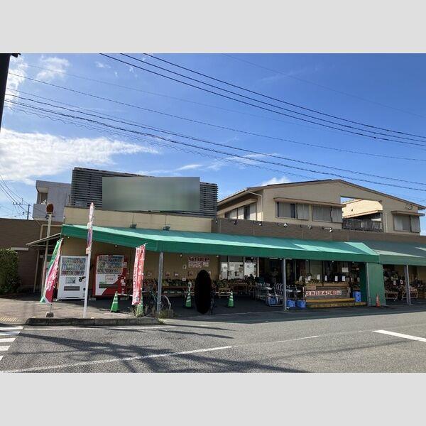 スーパー　ショッピングのだ出来島店（スーパー）まで200m