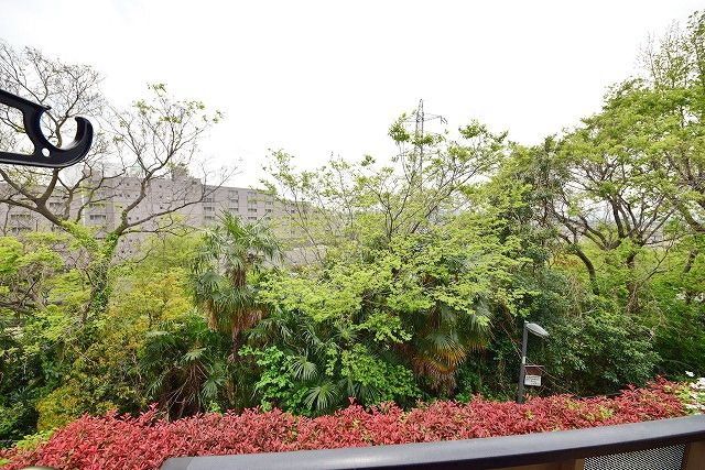 眺望　★窓からの景色です★