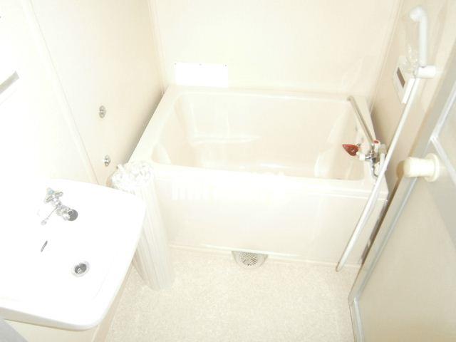 バス・シャワールーム　室内写真です。