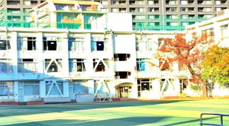 小学校　新宿区立柏木小学校（小学校）まで927m