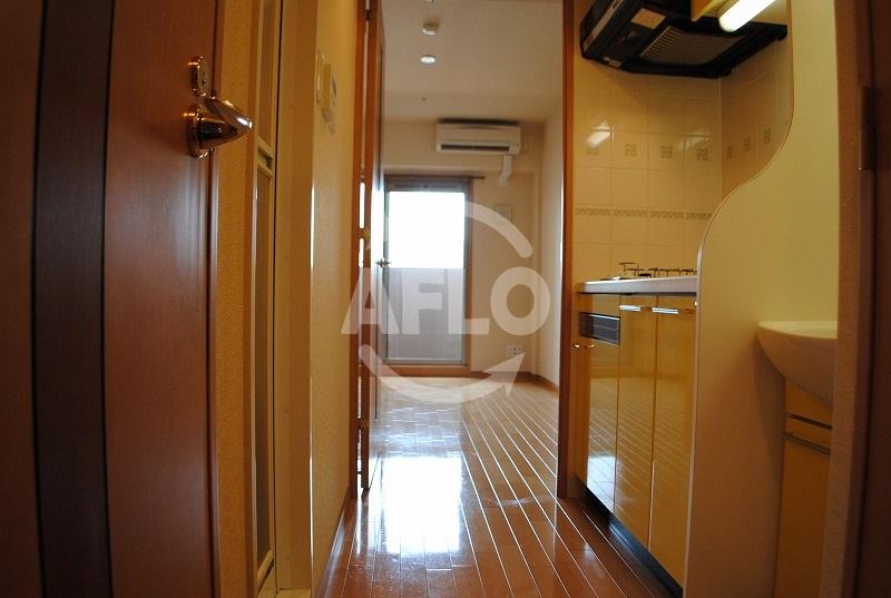 玄関　プレサンス心斎橋タイミックス　玄関