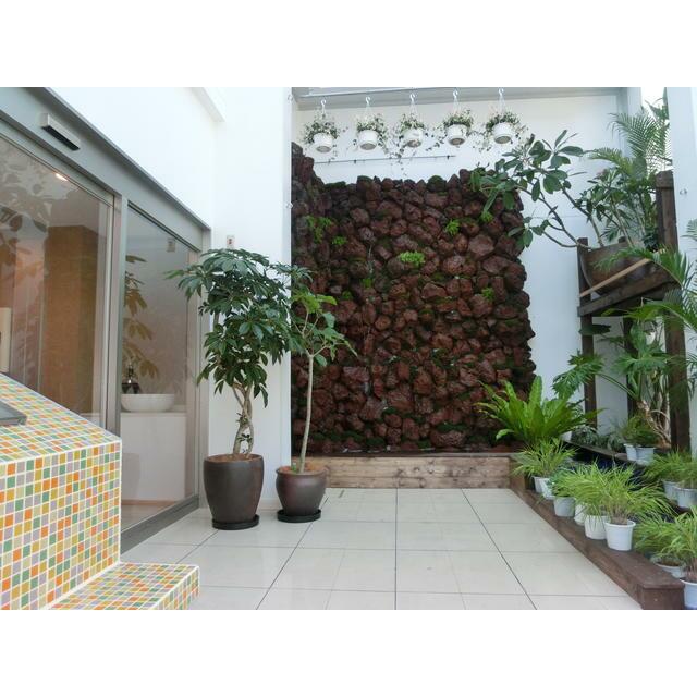 その他　熱帯植物があり、滝も流れる。