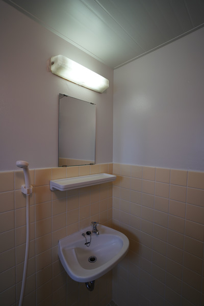 洗面設備　同じ建物の別の部屋