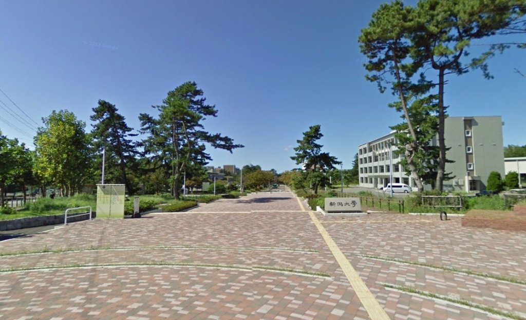 大学・短大　新潟大学五十嵐キャンパス（大学・短大）まで973m