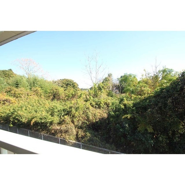 眺望　２０１号室　バルコニーからの眺望