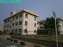 小学校　和歌山市立今福小学校（小学校）まで216m